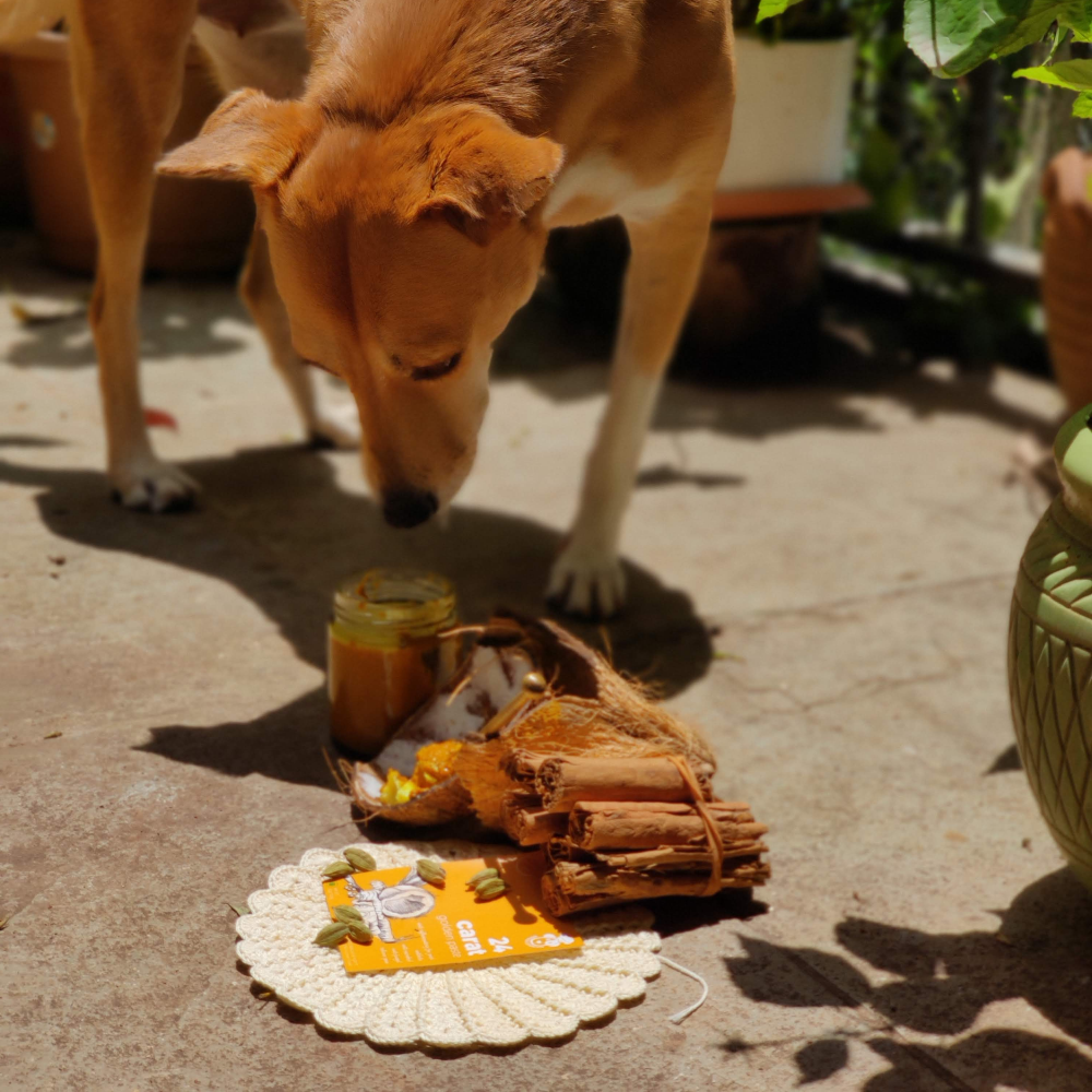 Doggielicious Golden Paste Joint Supplement for Dogs