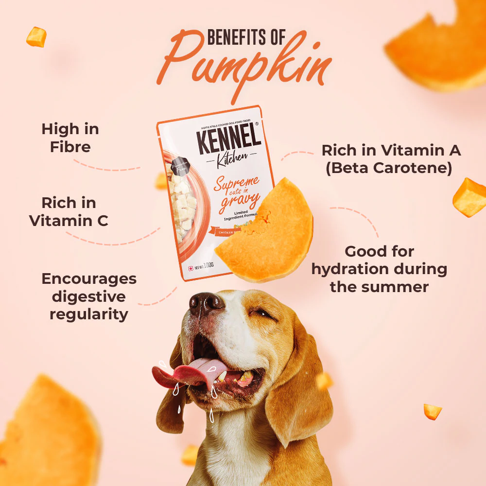 Kennel Kitchen Supreme Cuts in Gravy - Chicken Liver Recipe with Pumpkin Dog Wet Food for Adults & Puppies