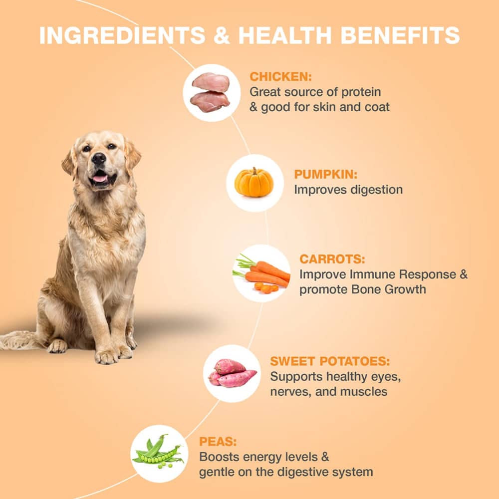 Bennys Bowl Chicken and Pumpkin Fresh Food for Dogs