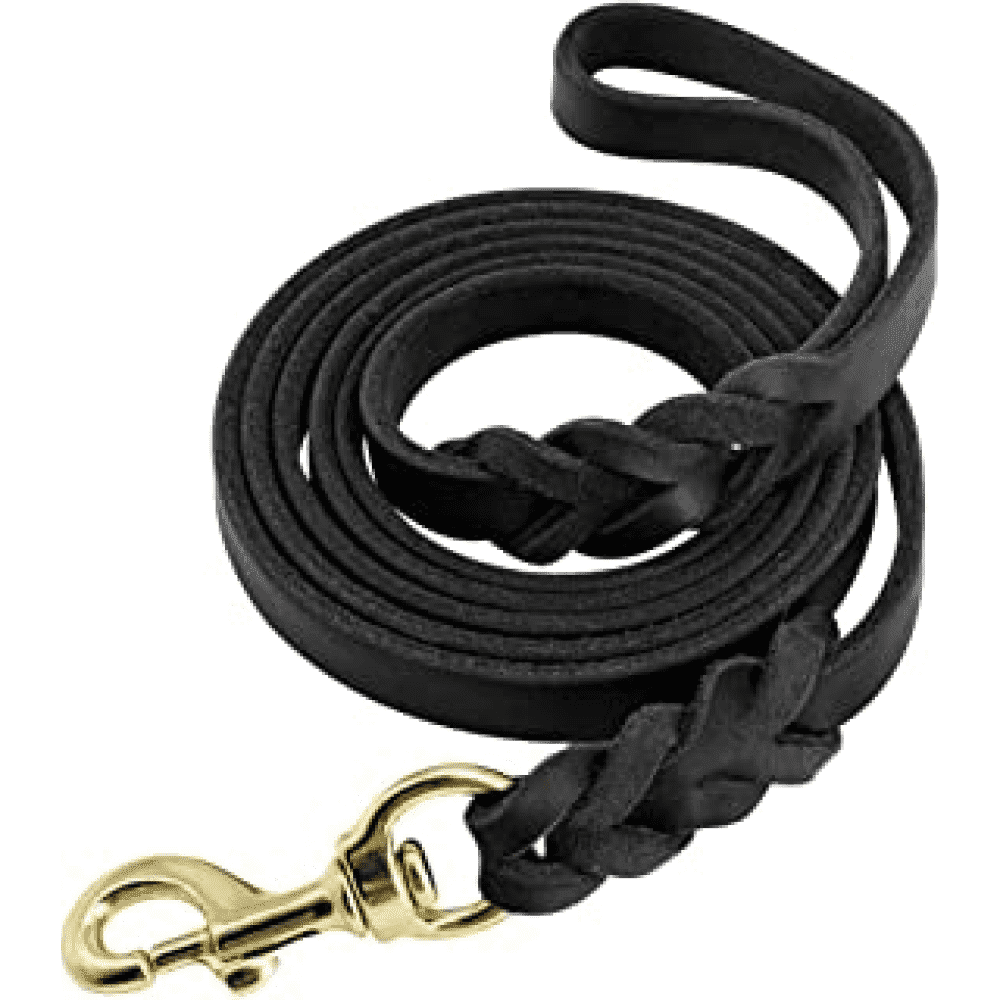 Emily Pets Braided Leather Leash (Black)