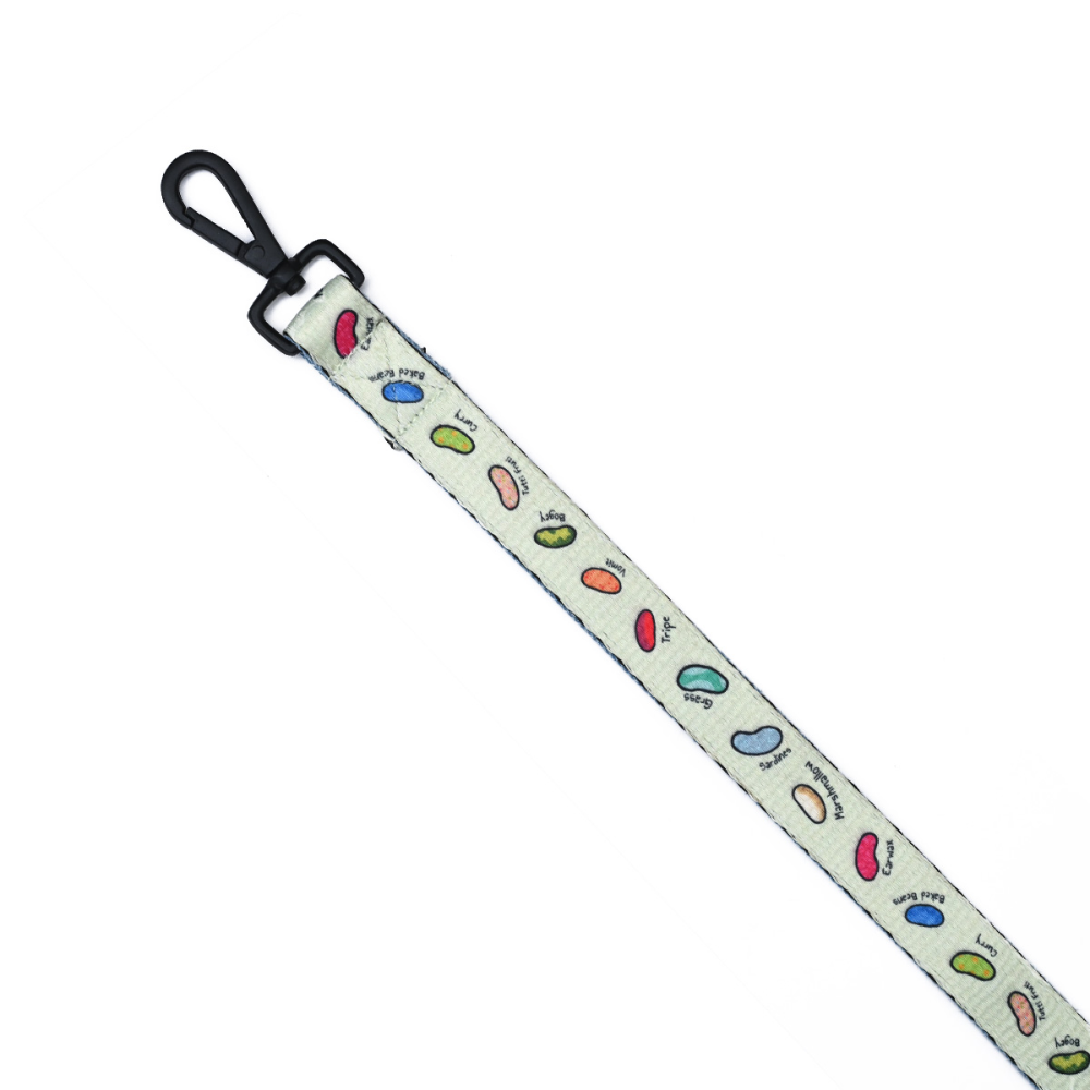 Harry Potter Every Flavour Bean Leash for Dogs