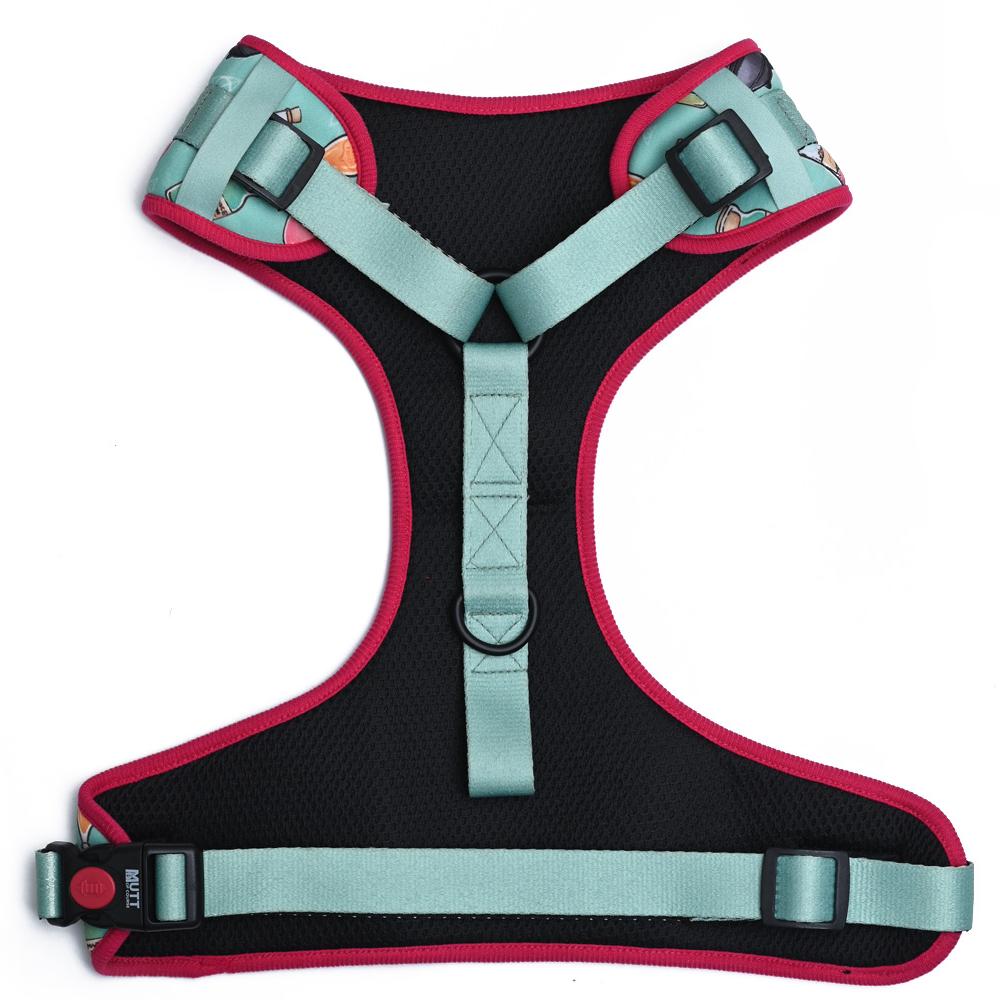 Harry Potter Potions In Motions Harness for Dogs