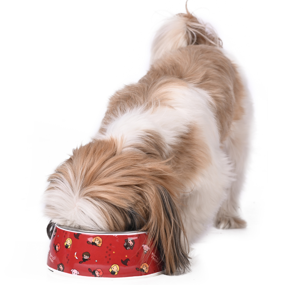 Harry Potter Friends Of Harry Potter Bowl for Pets
