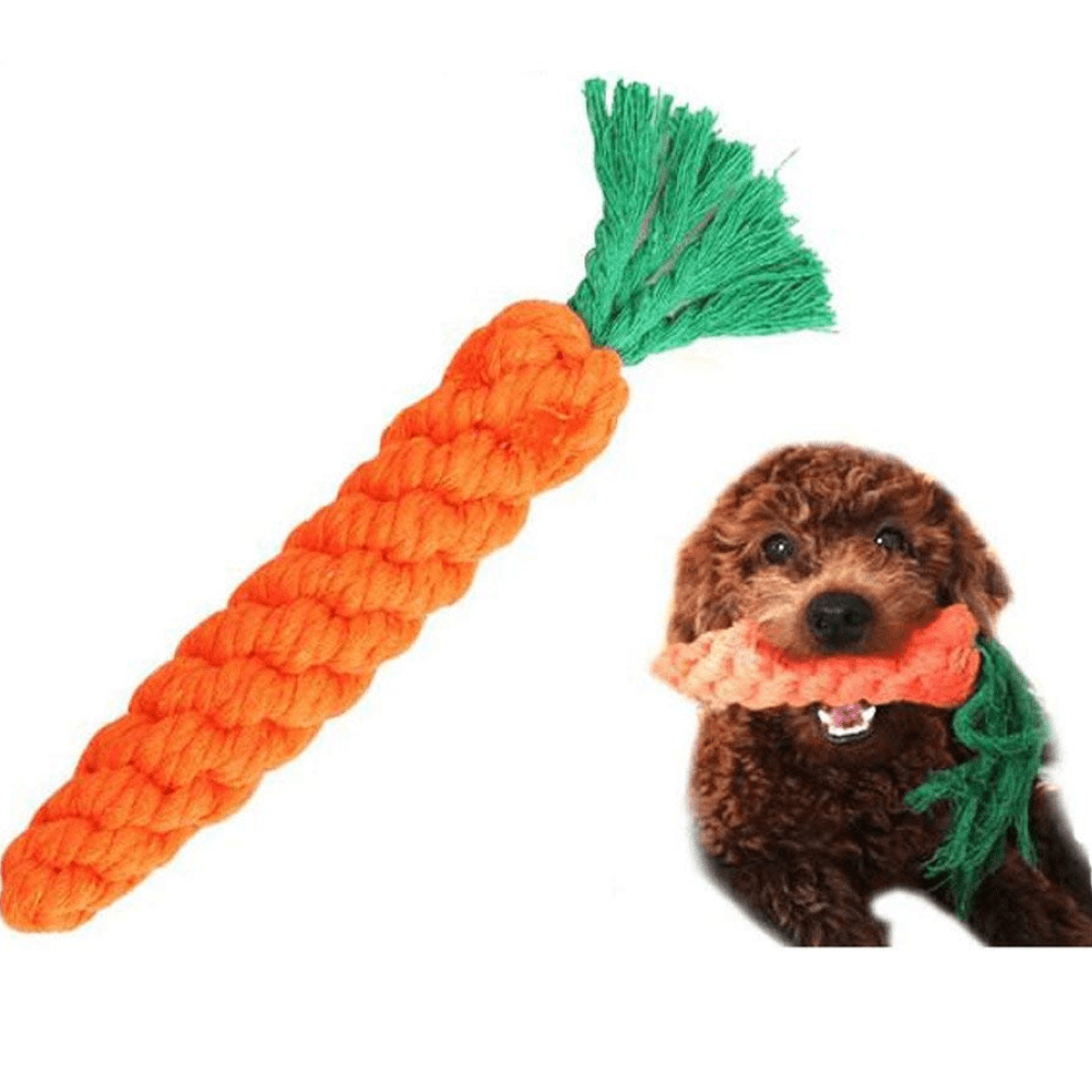Emily Pets Orange Carrot Shaped Rope Toy for Dogs