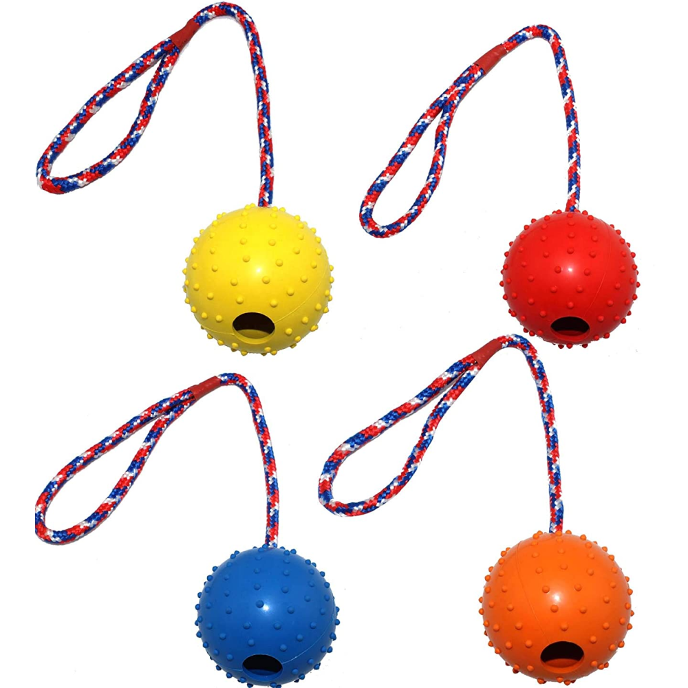 Emily Pets Rubber Ball with Rope Chew Toy for Dogs
