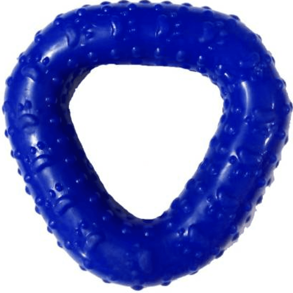 Emily Pets Triangle Shape Rubber Chew Toy for Dogs