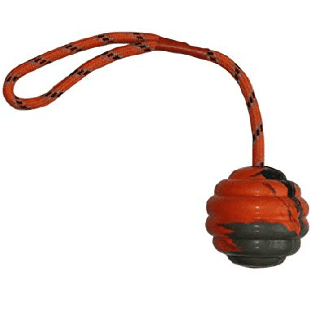 Emily Pets Rubber Ball With Multicolor Rope Toy for Dogs