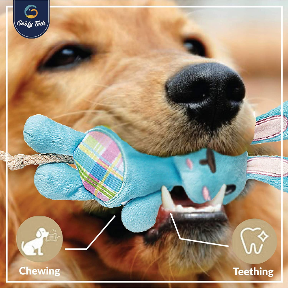 Goofy Tails Babypet Skinny Rabbit Soft Squeaky Dog Toys (Blue)