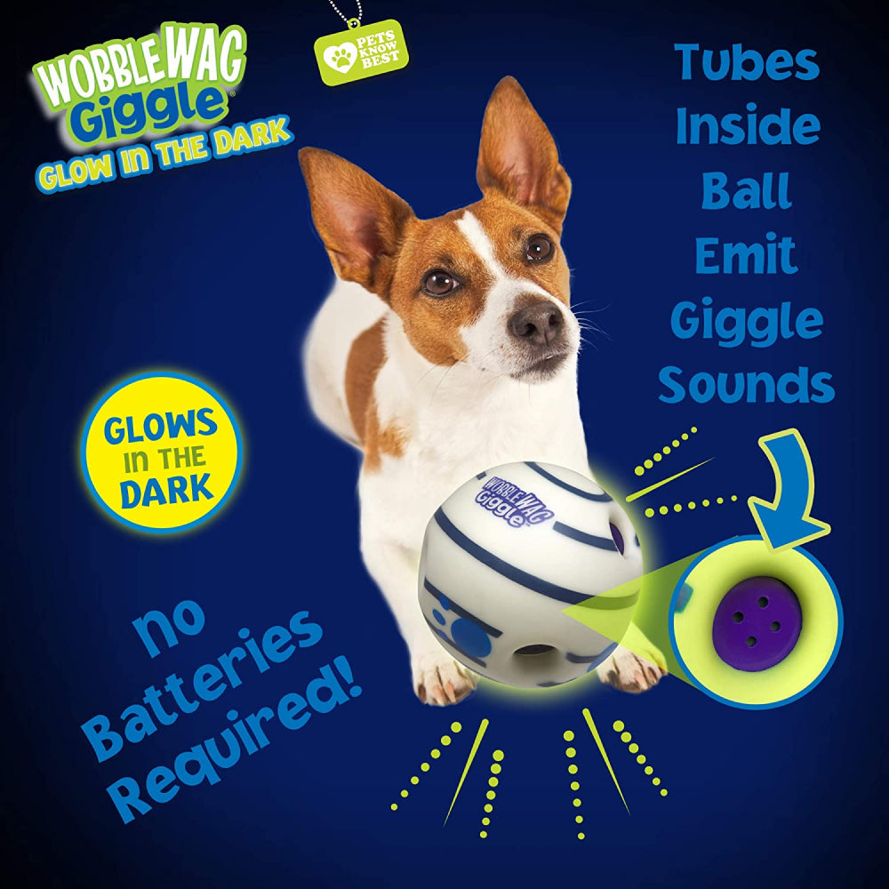 Wobble Wag Giggle Glow in The Dark Interactive Toy for Dogs