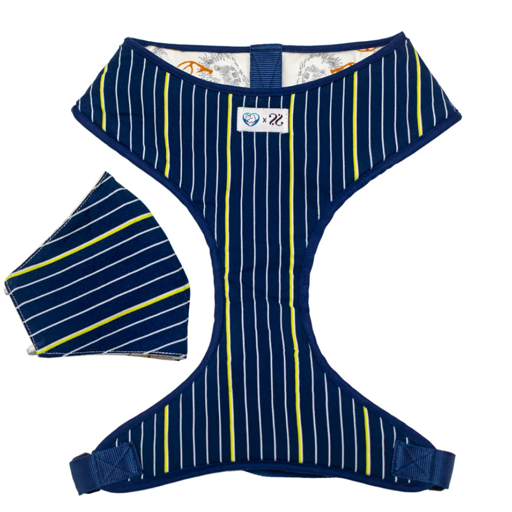 Pet And Parents (Namaste Pets) Stripy Fox Reversible Harness for Dogs