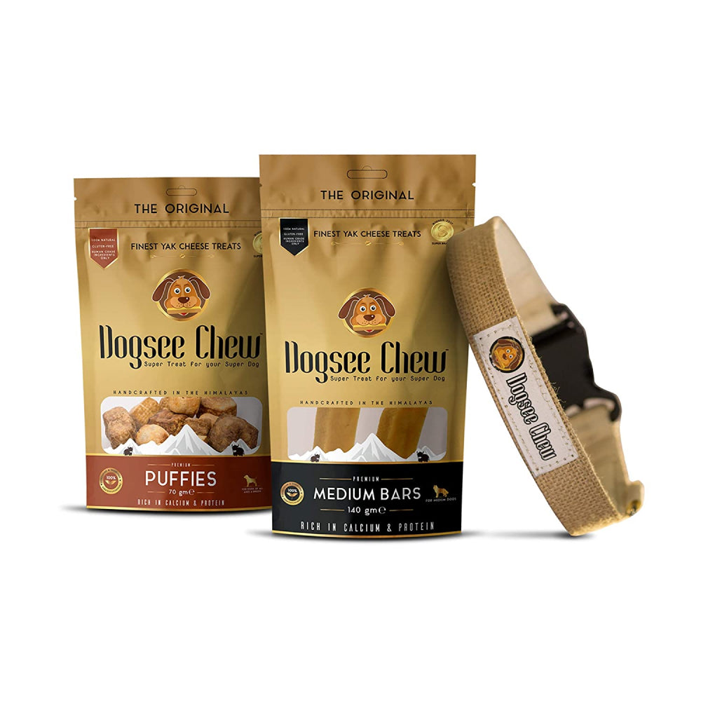 Dogsee Chew Festive Pack for Dogs