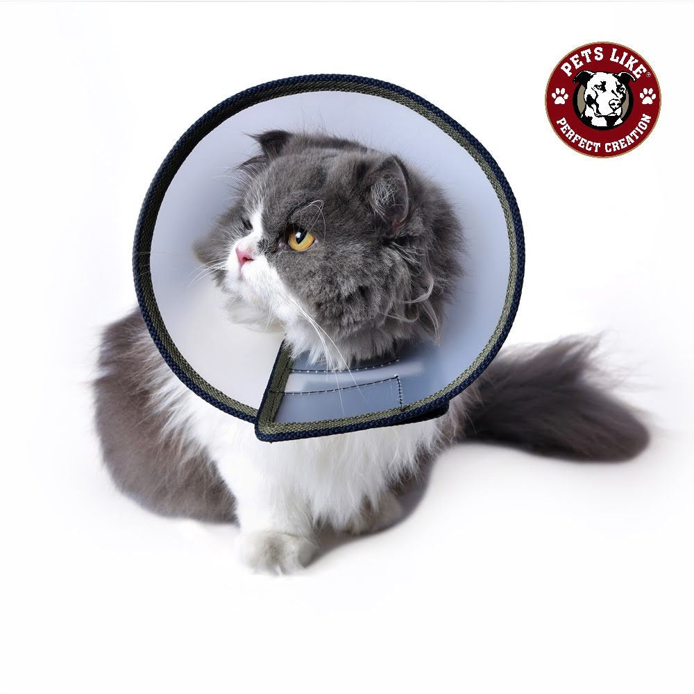 Pets Like Elizabethan Collar for Cats