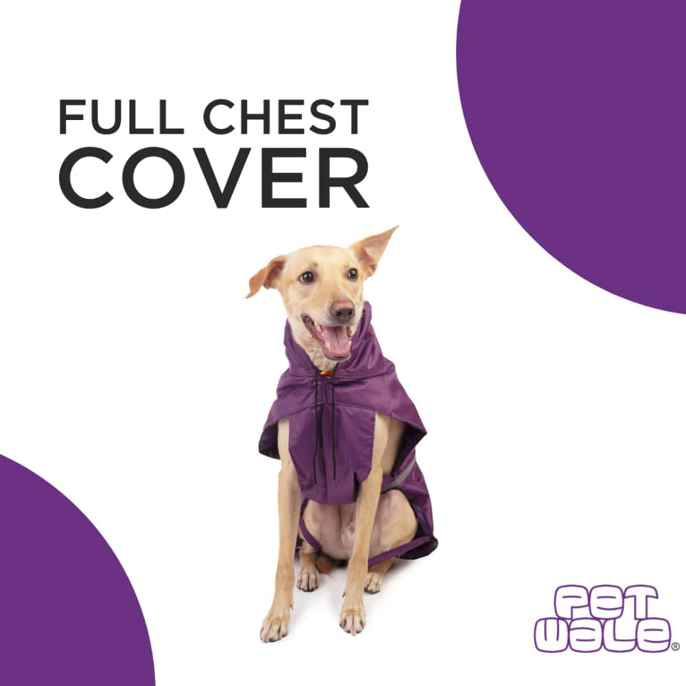 PetWale Reflective Raincoat for Dogs (Purple)