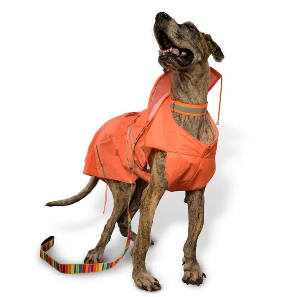 PetWale Reflective Raincoat Dog (Orange)
