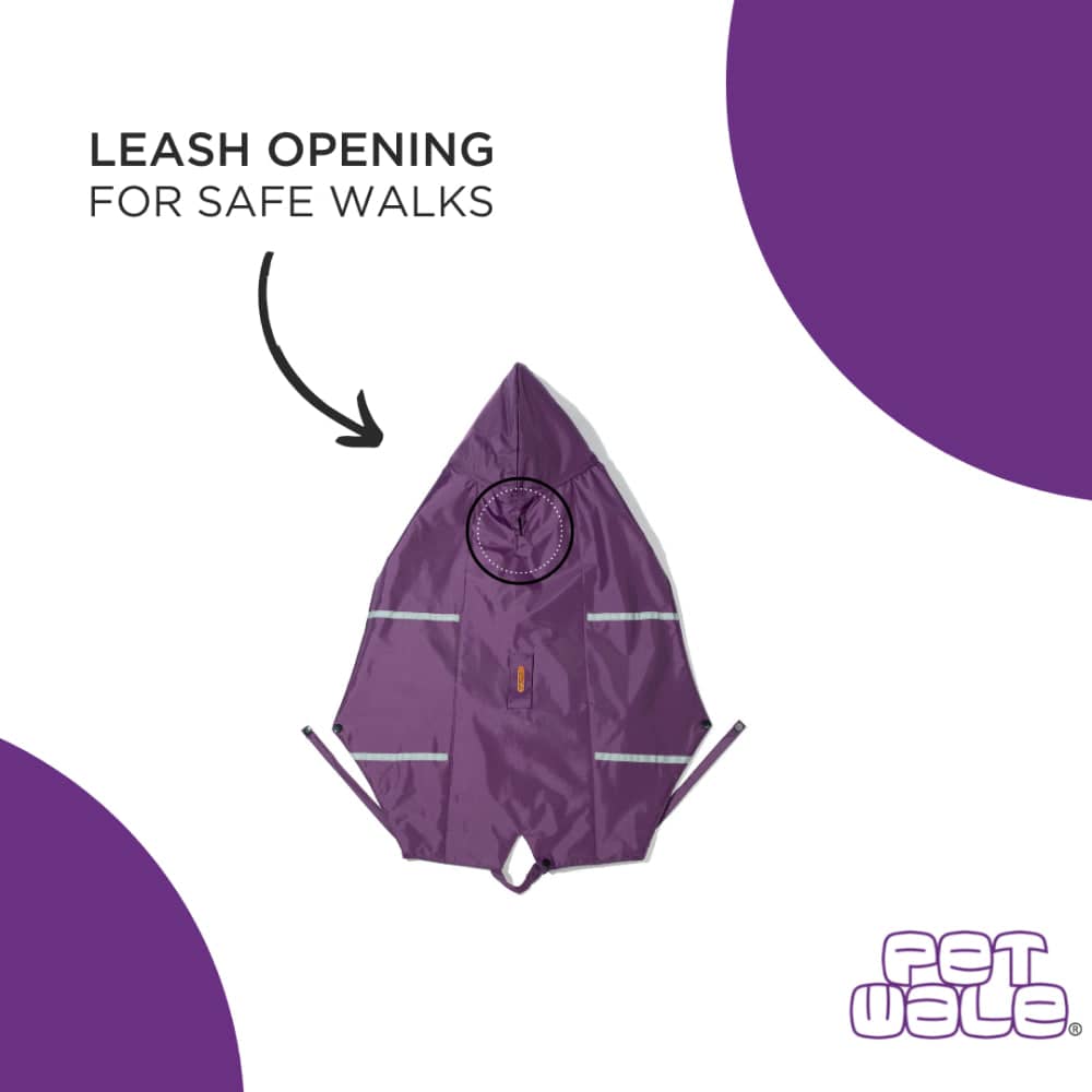 PetWale Reflective Raincoat for Dogs (Purple)