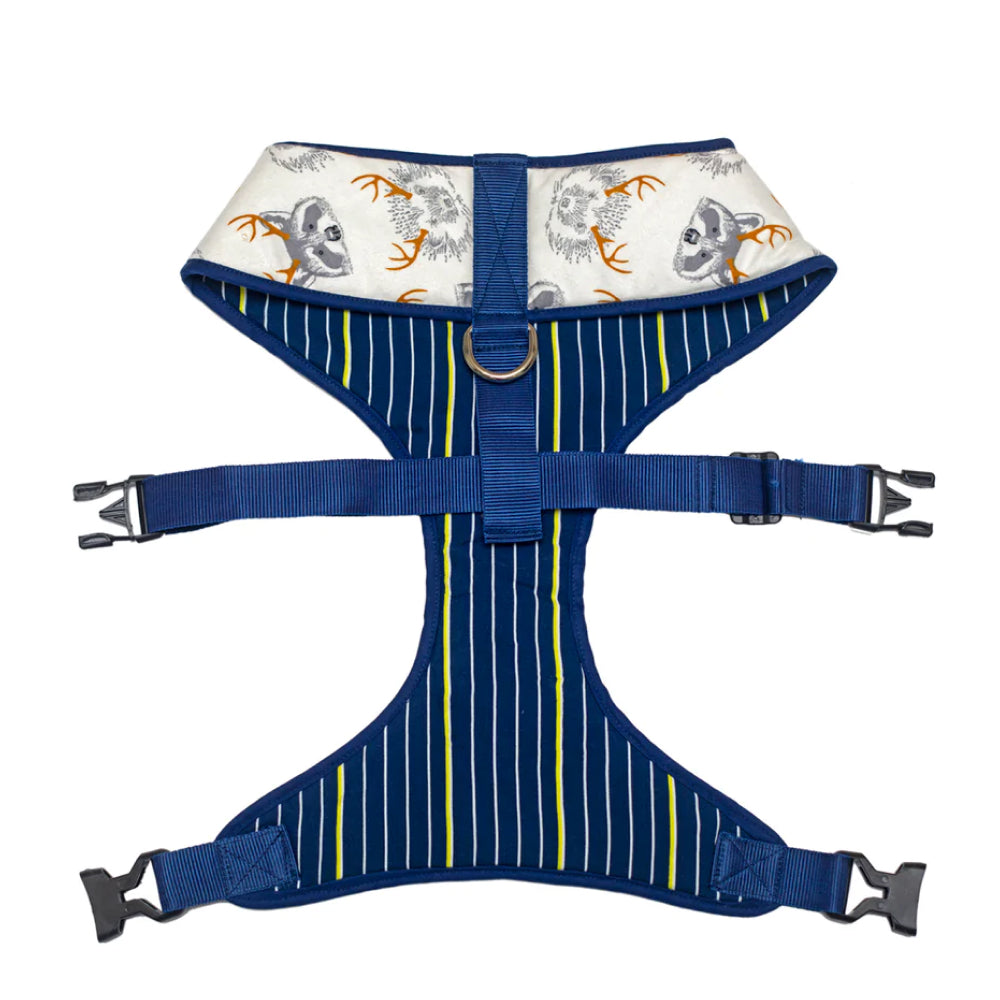 Pet And Parents (Namaste Pets) Stripy Fox Reversible Harness for Dogs