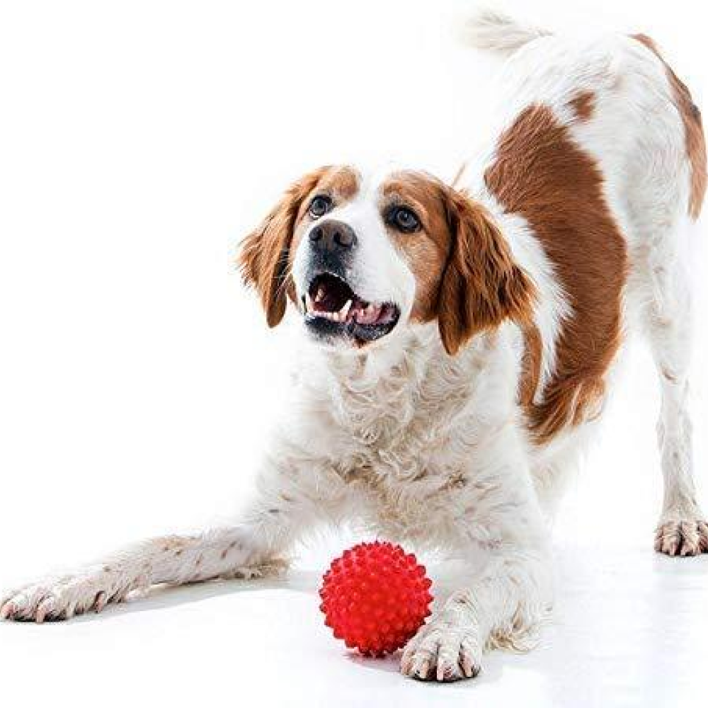 Goofy Tails Super Dog Spike Ball Rubber Toy for Dogs