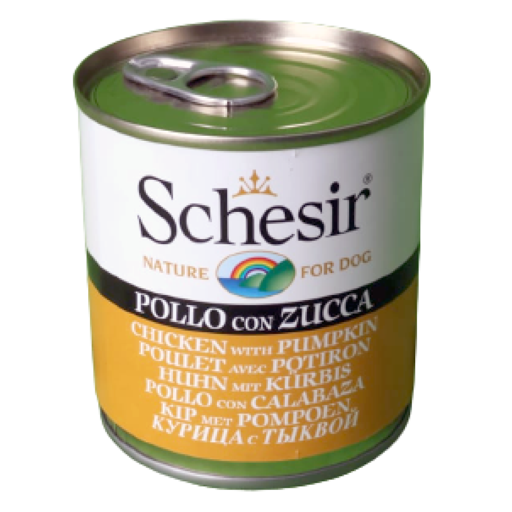Schesir Chicken and Rice with Pumpkin in Jelly Dog Wet Food