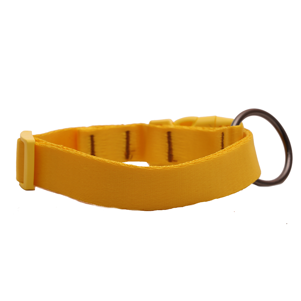 Pets Like Nylon Collar with Adjustable Clip Collar for Dogs (Yellow)