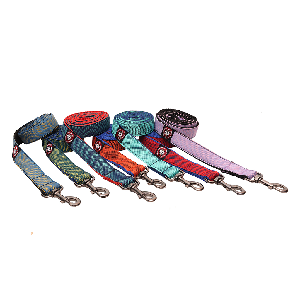 Pets Like Spun Designer Leash for Dogs (Blue)