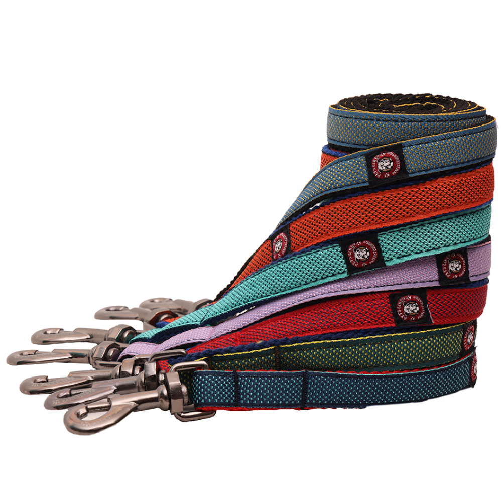 Pets Like Spun Designer Leash for Dogs (Blue)