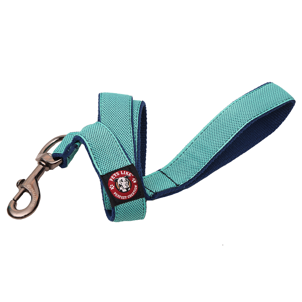 Pets Like Spun Designer Leash for Dogs (Blue)