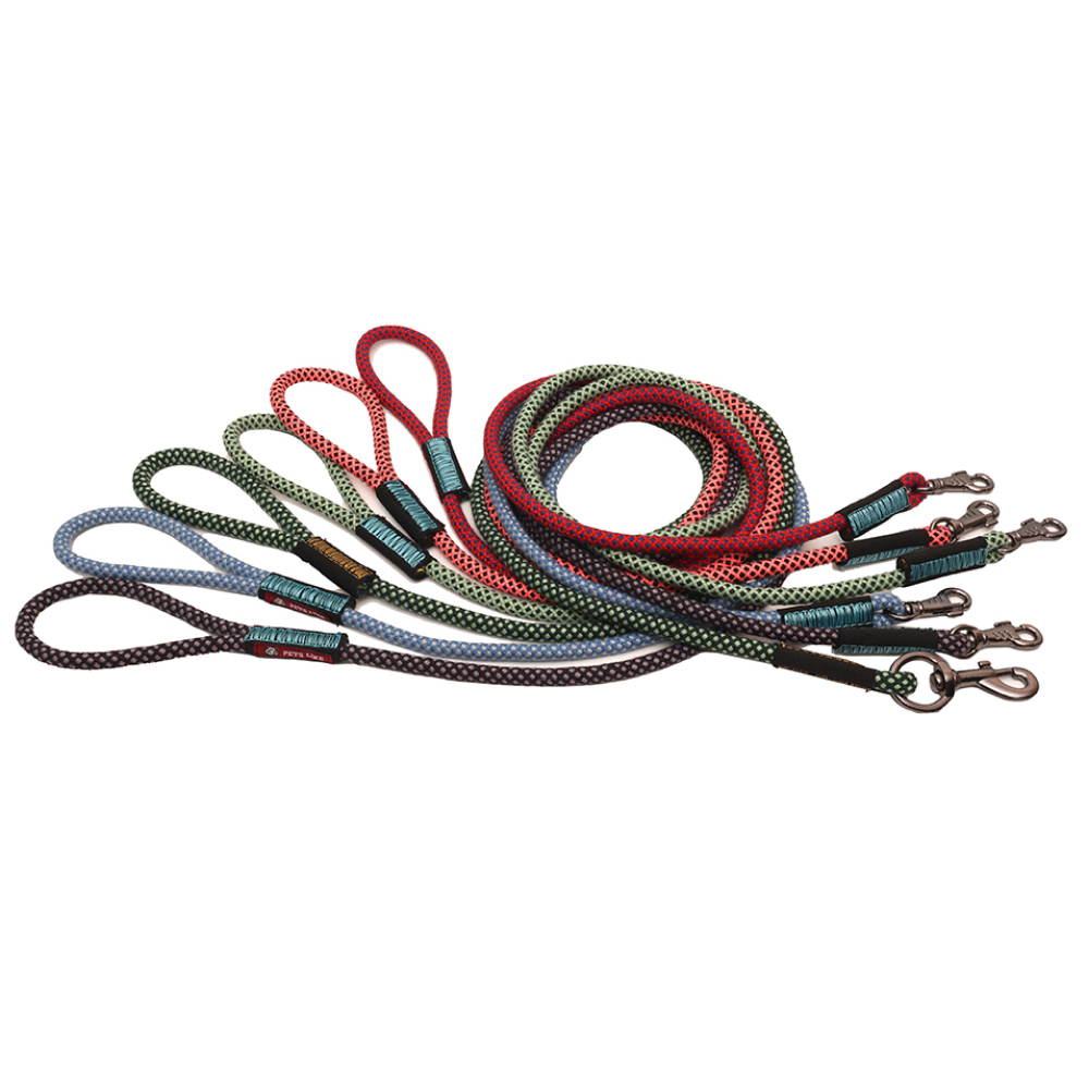 Pets Like Training Rope Leash for Dogs (Orange & Black)