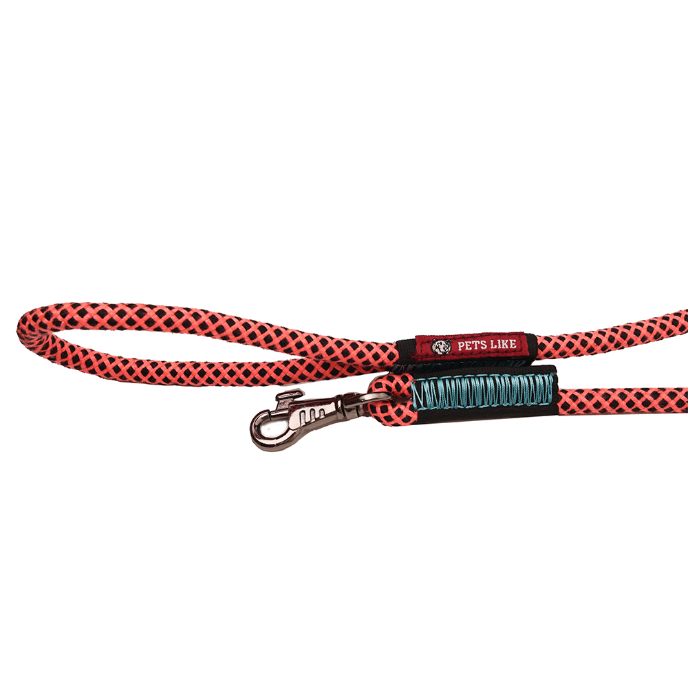 Pets Like Training Rope Leash for Dogs (Orange & Black)