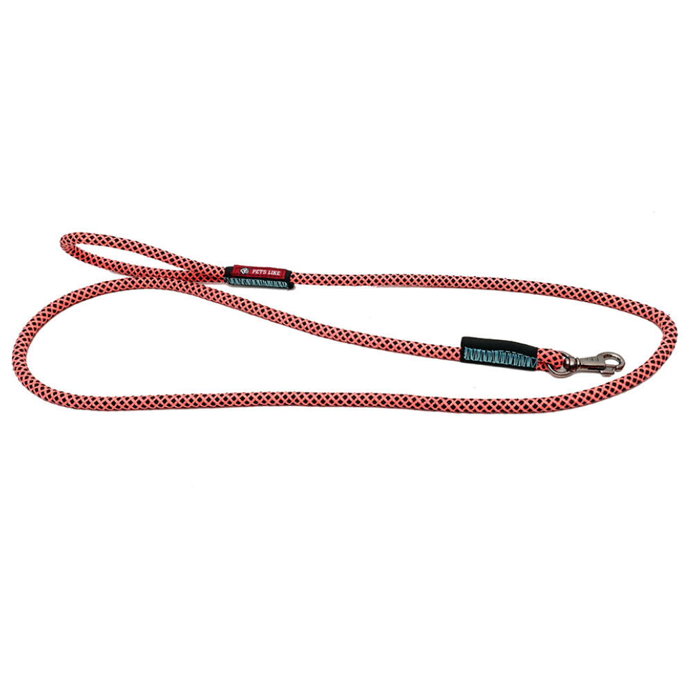 Pets Like Training Rope Leash for Dogs (Orange & Black)