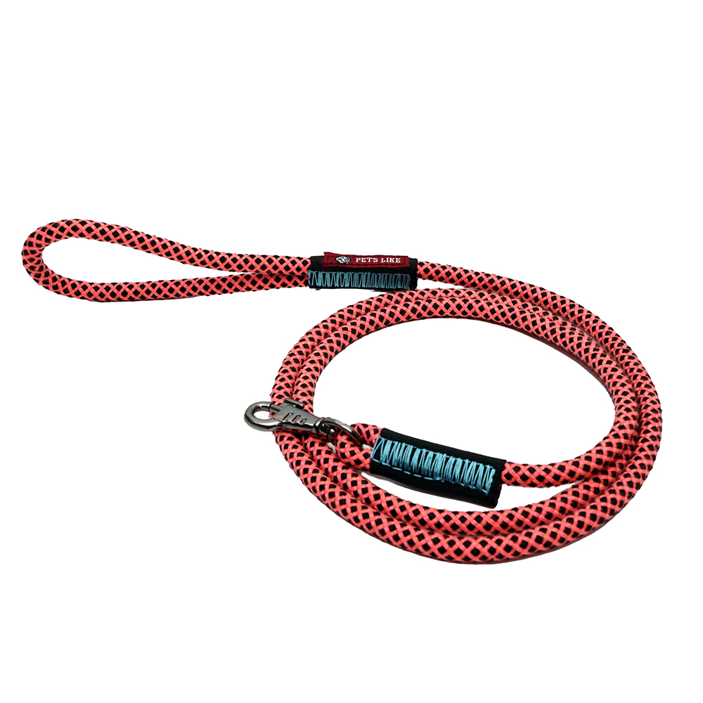 Pets Like Training Rope Leash for Dogs (Orange & Black)