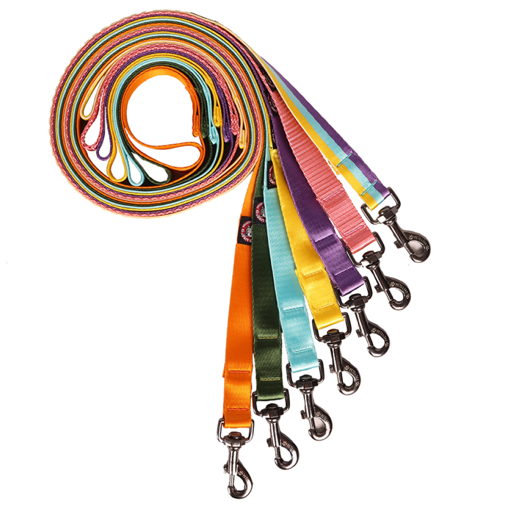 Pets Like Nylon Training Leash with Metal Clip for Dogs (Yellow)