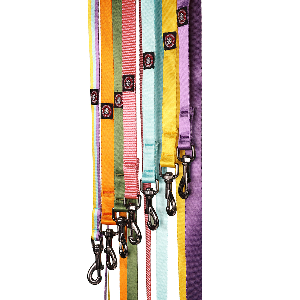 Pets Like Nylon Training Leash with Metal Clip for Dogs (Yellow)