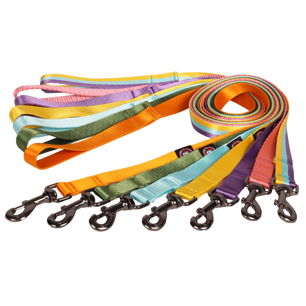 Pets Like Nylon Training Leash with Metal Clip for Dogs (Yellow)