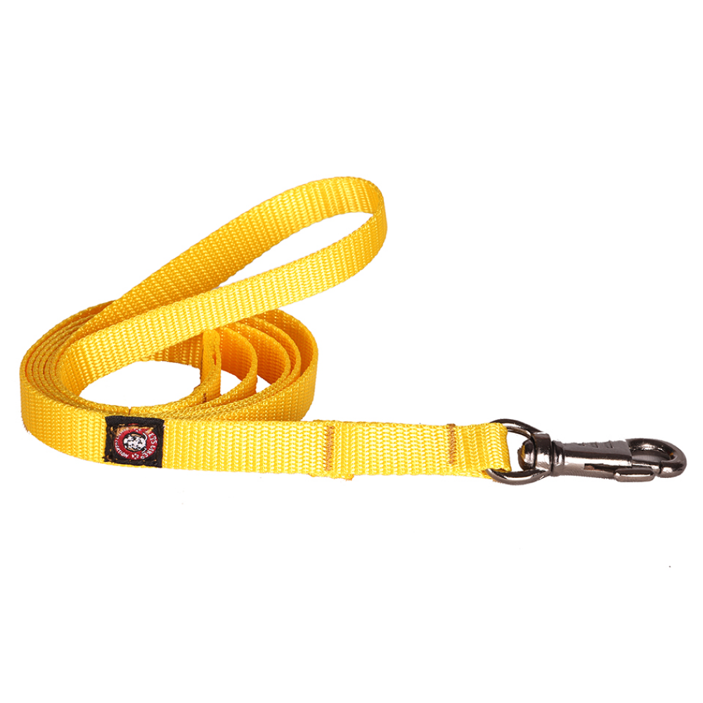 Pets Like Nylon Training Leash with Metal Clip for Dogs (Yellow)