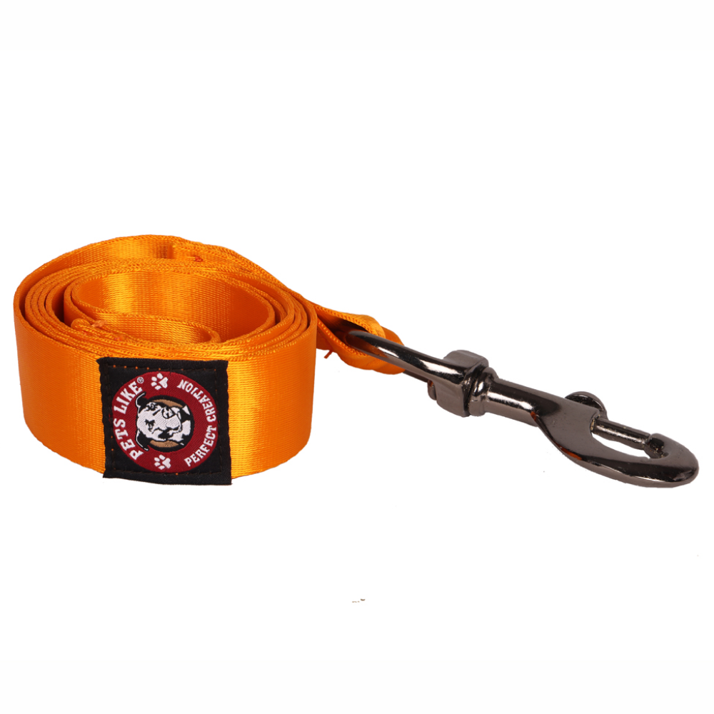 Pets Like Nylon Training Leash with Metal Clip for Dogs (Orange)
