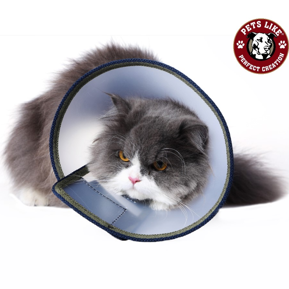 Pets Like E Collar for Cats