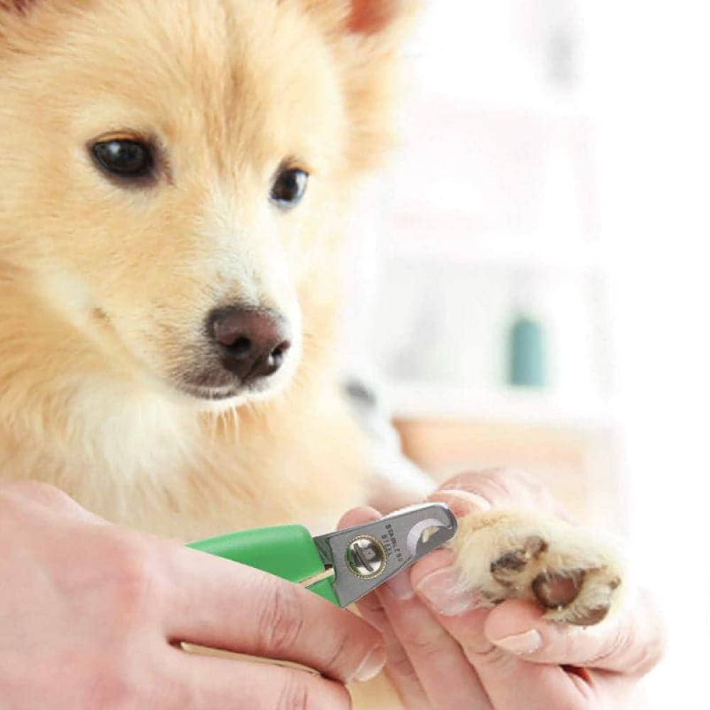 Wahl CDM Cordless Clipper for Pets (Get Free Nail Clipper)