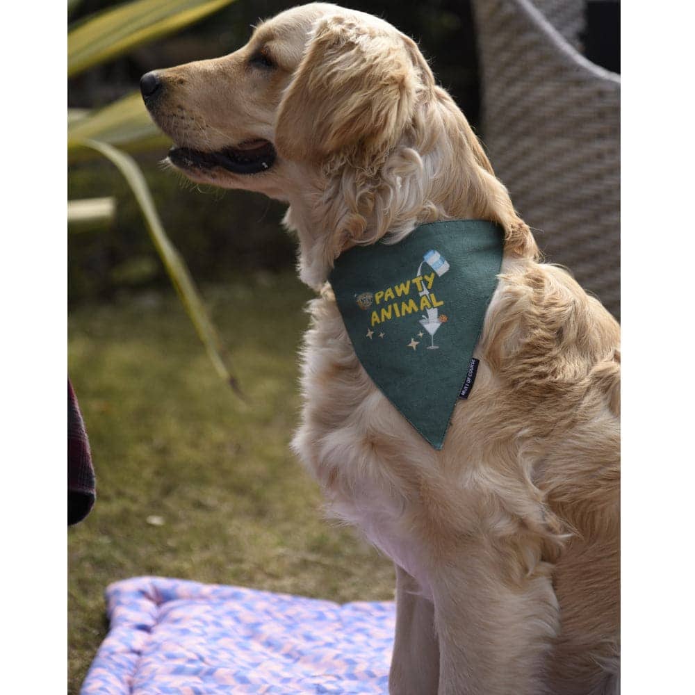 Mutt of Course Cotton Pawty Animal Bandana For Dogs