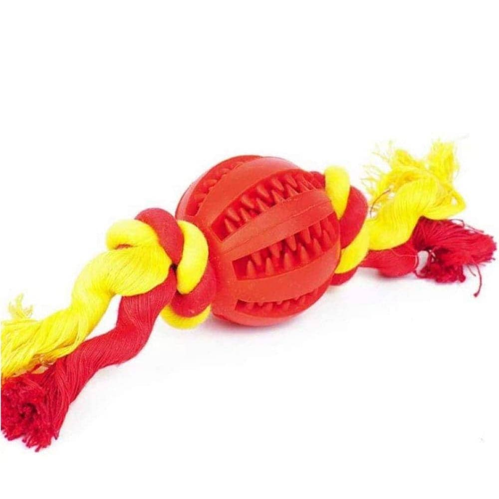 Emily Pets Chew Ball with Cotton Rope for Dogs (Medium)