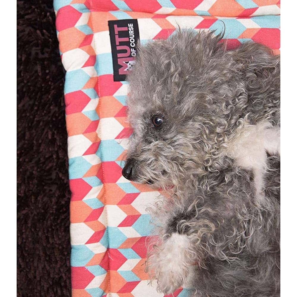 Mutt of Course Candy Barrr Mat for Pets