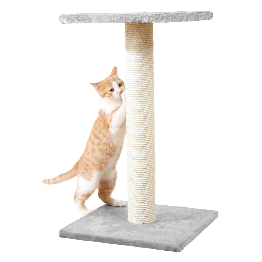 Trixie Espejo Scratching Post for Cats (Grey)