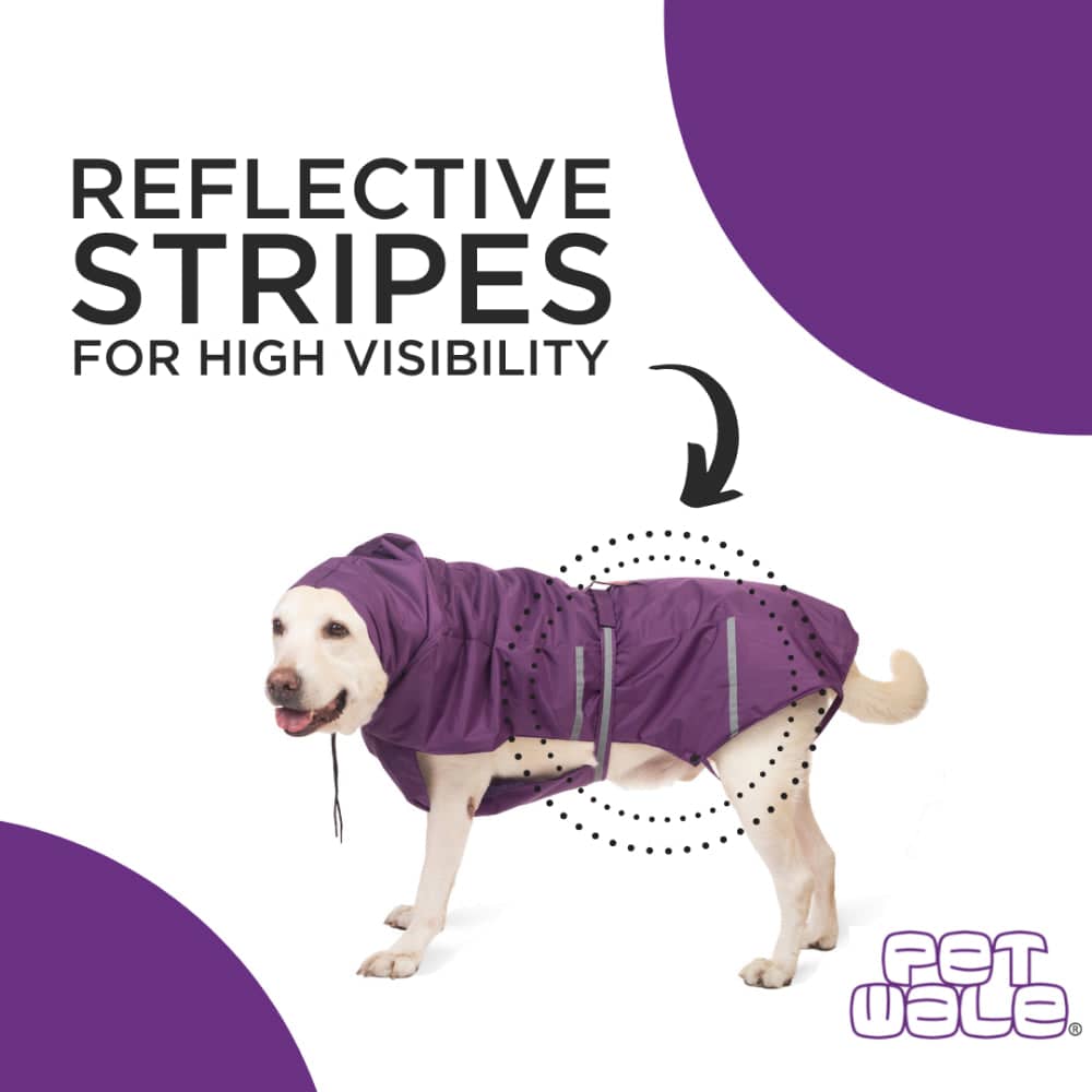 PetWale Reflective Raincoat for Dogs (Purple)