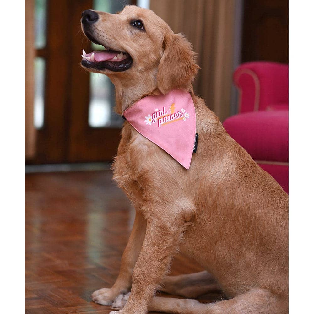 Mutt of Course Cotton Girl Power Bandana For Dogs