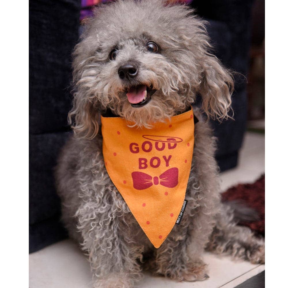 Mutt of Course Cotton Good Boy Bandana For Dogs