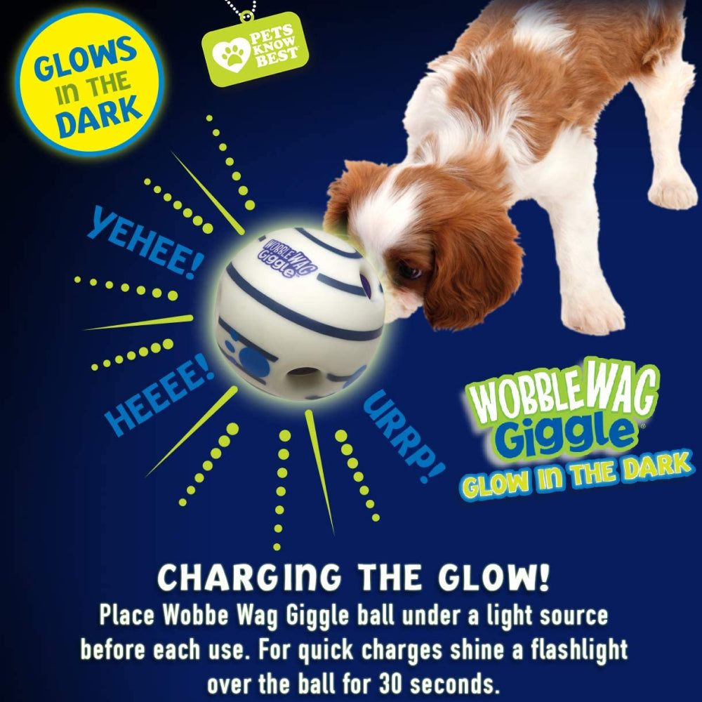Wobble Wag Giggle Glow in The Dark Interactive Toy for Dogs