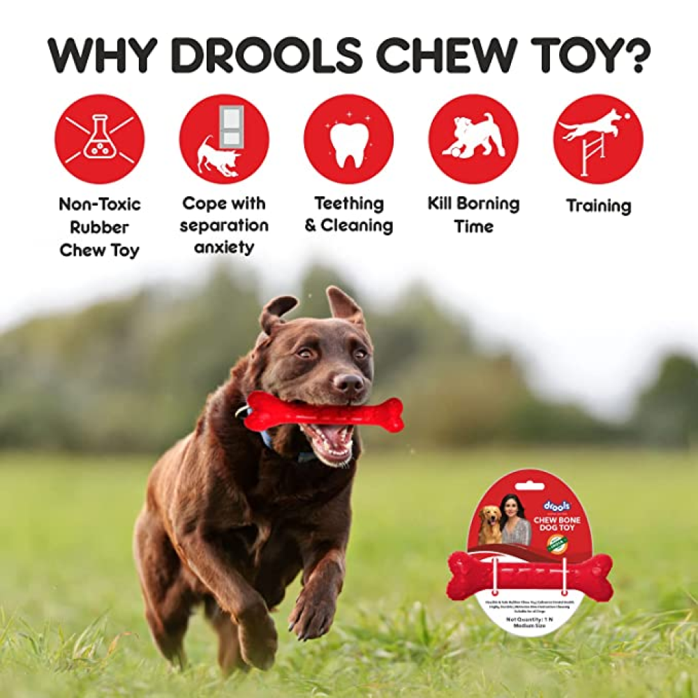 Drools Non-Toxic Rubber Chew Bone Toy for Dogs