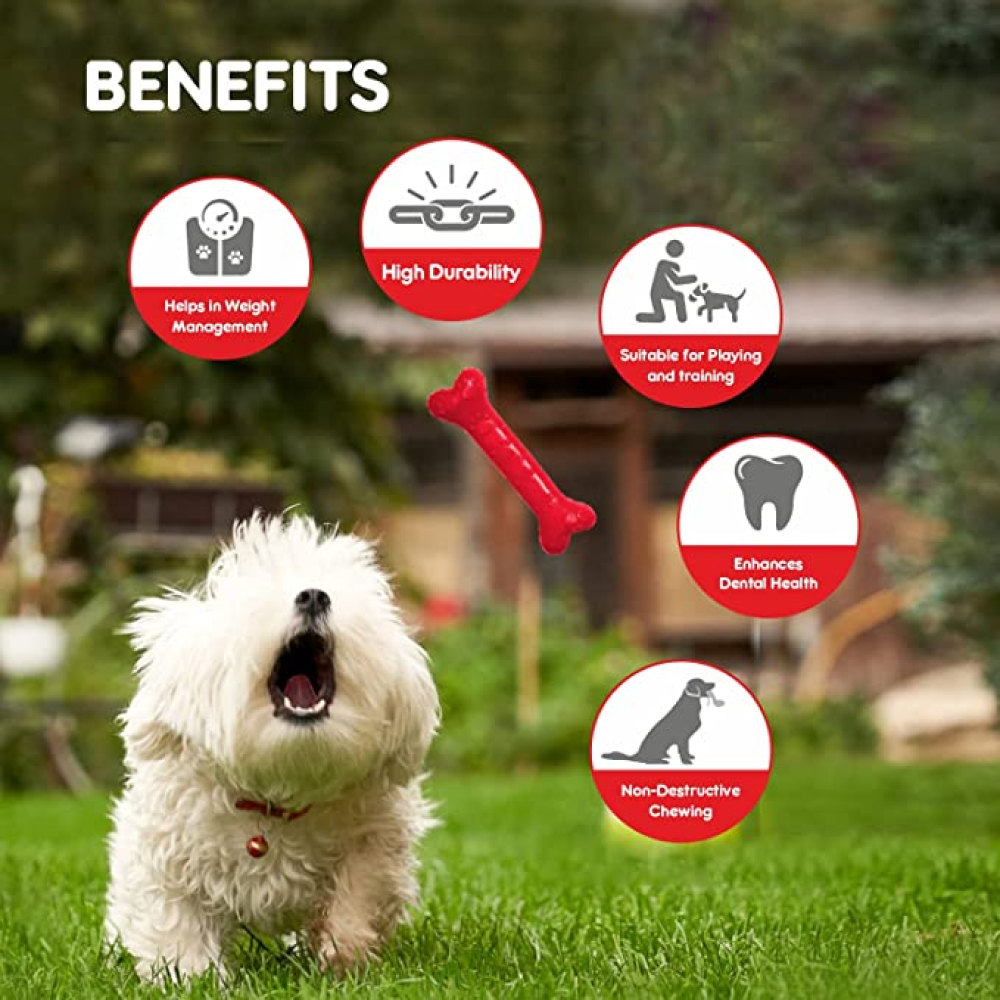 Drools Non-Toxic Rubber Chew Bone Toy for Dogs