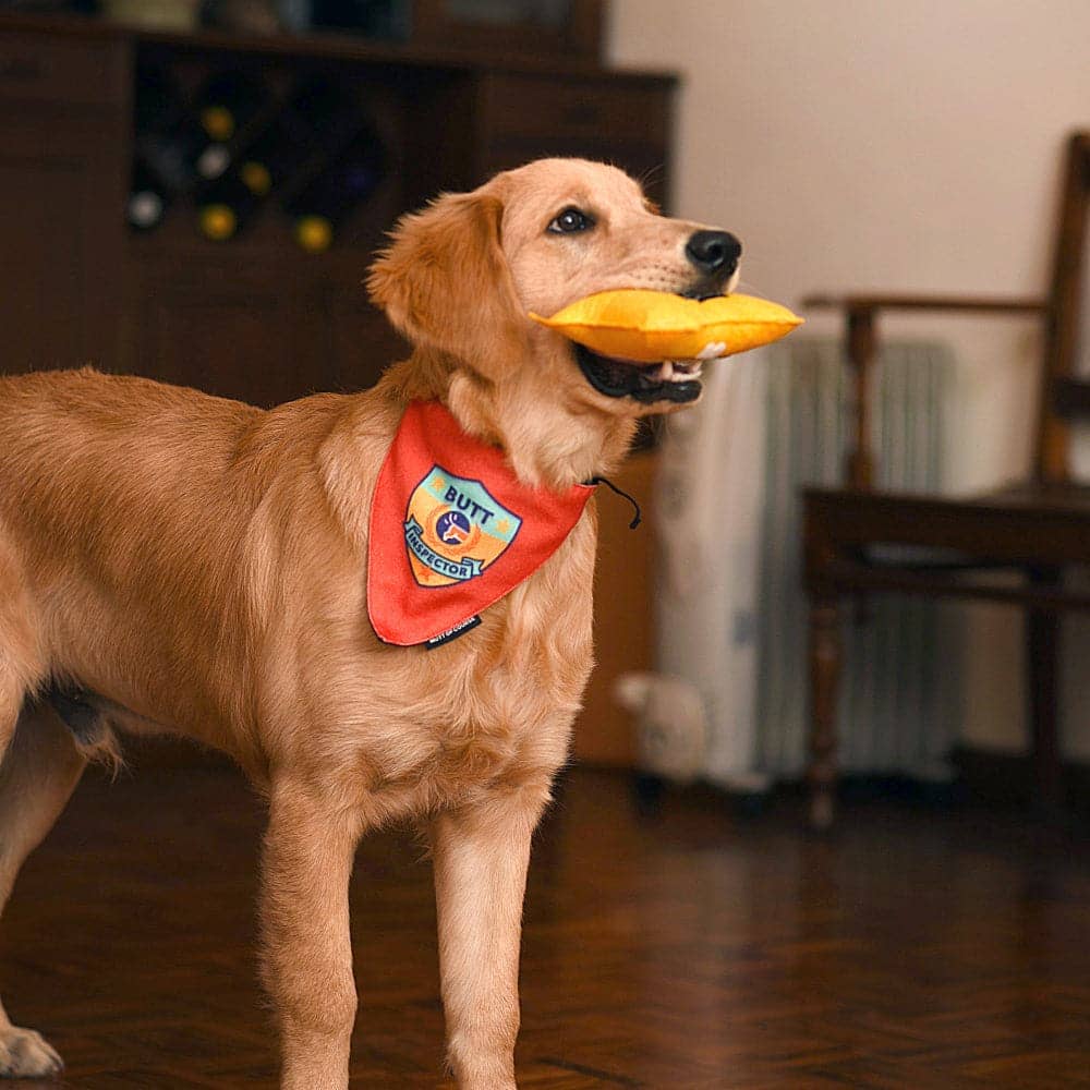 Mutt of Course Cotton Butt Inspector Bandana For Dogs