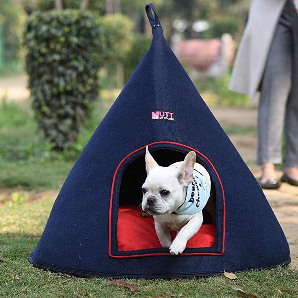 Mutt of Course Cone E Chiwa Beds for Pets (Blue)
