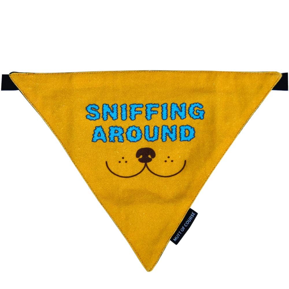 Mutt of Course Cotton Sniffing Around Bandana For Dogs